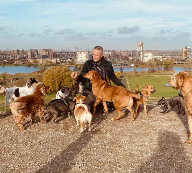 Krijn met zijn roedel honden